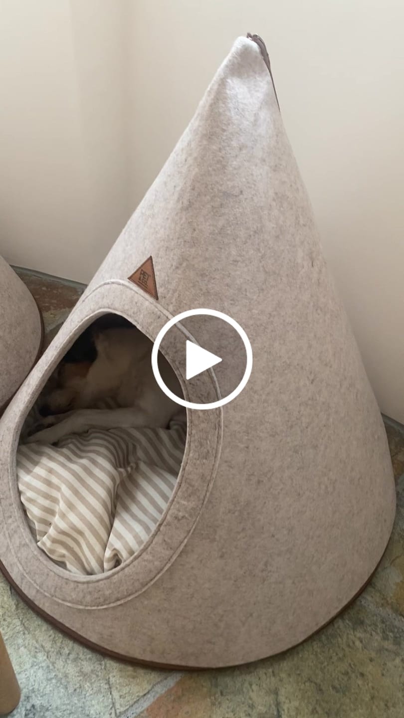 Customer video review of Tonto - Luxury Dog Tipi