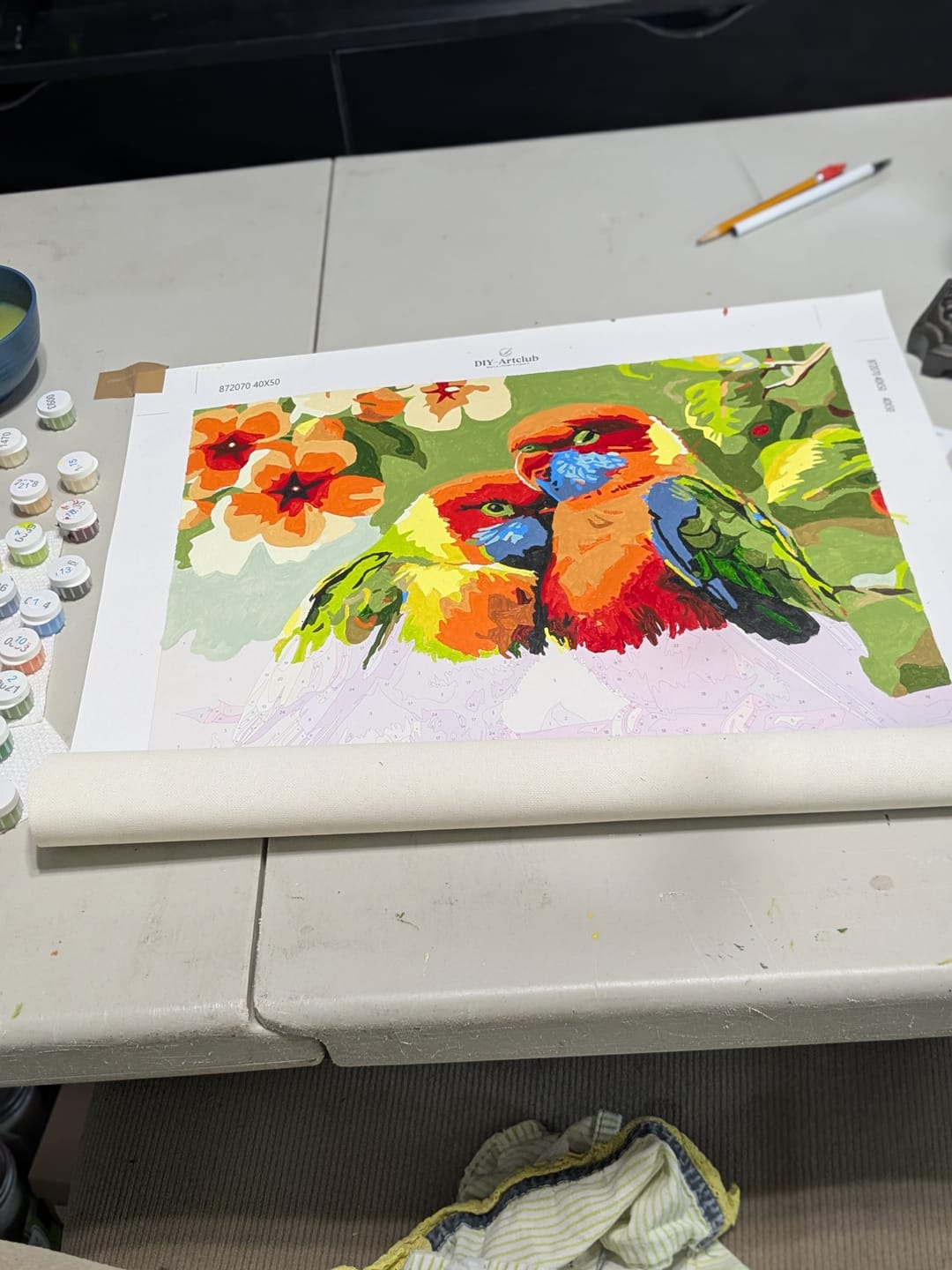 Customer photo review of 2 Colorful Birds | Paint by Numbers