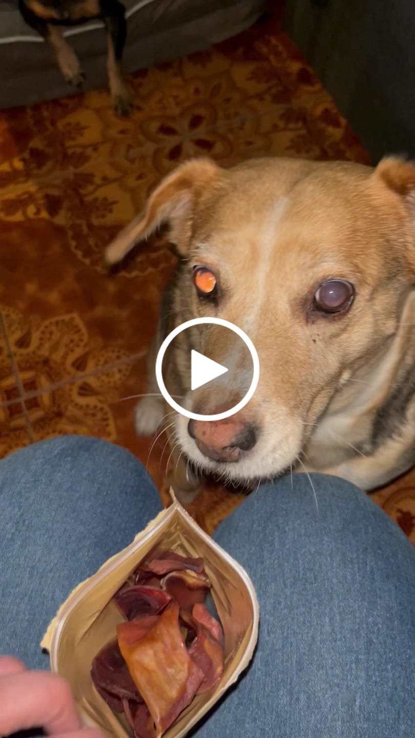 Customer video review of Oreja de cerdo en trozos