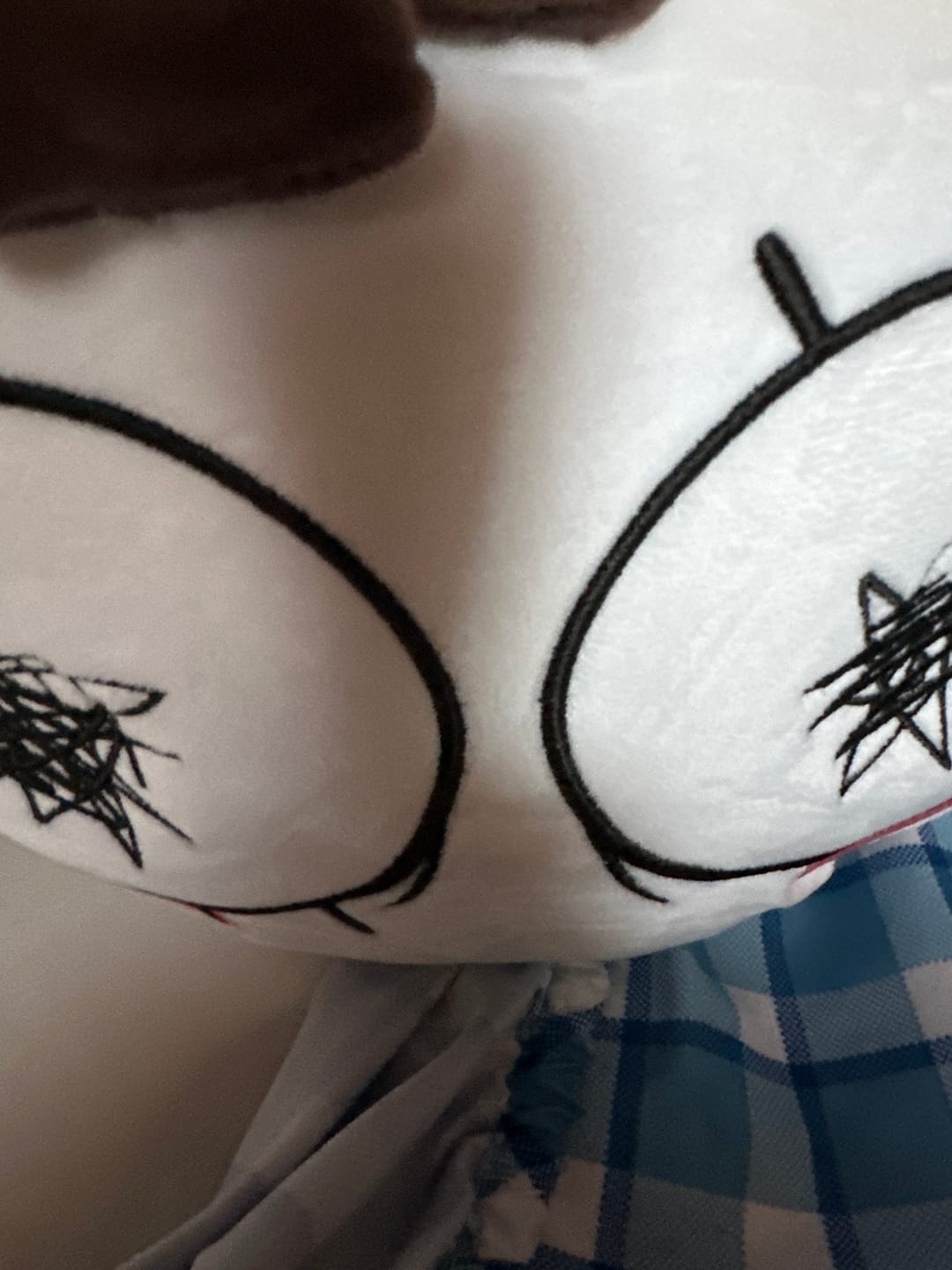 Customer photo review of Big Pomni Plush