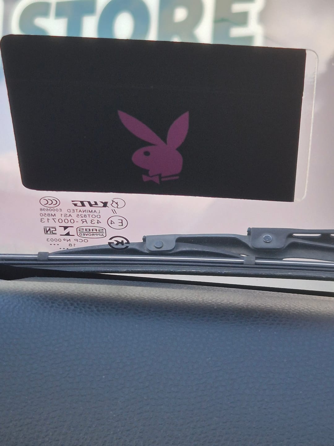 Customer photo review of Playboy Bunny Pink