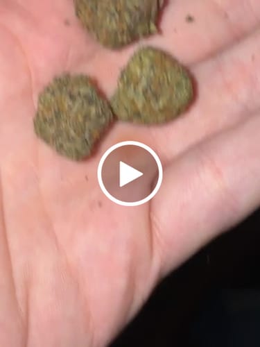 Customer video review of THC-A 30% Flower Do-Si-Dos x Gelato