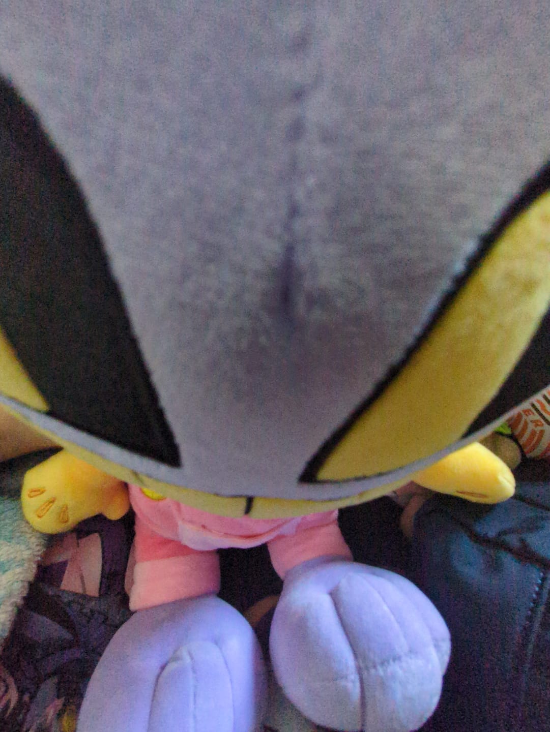 Customer photo review of Jax Plush