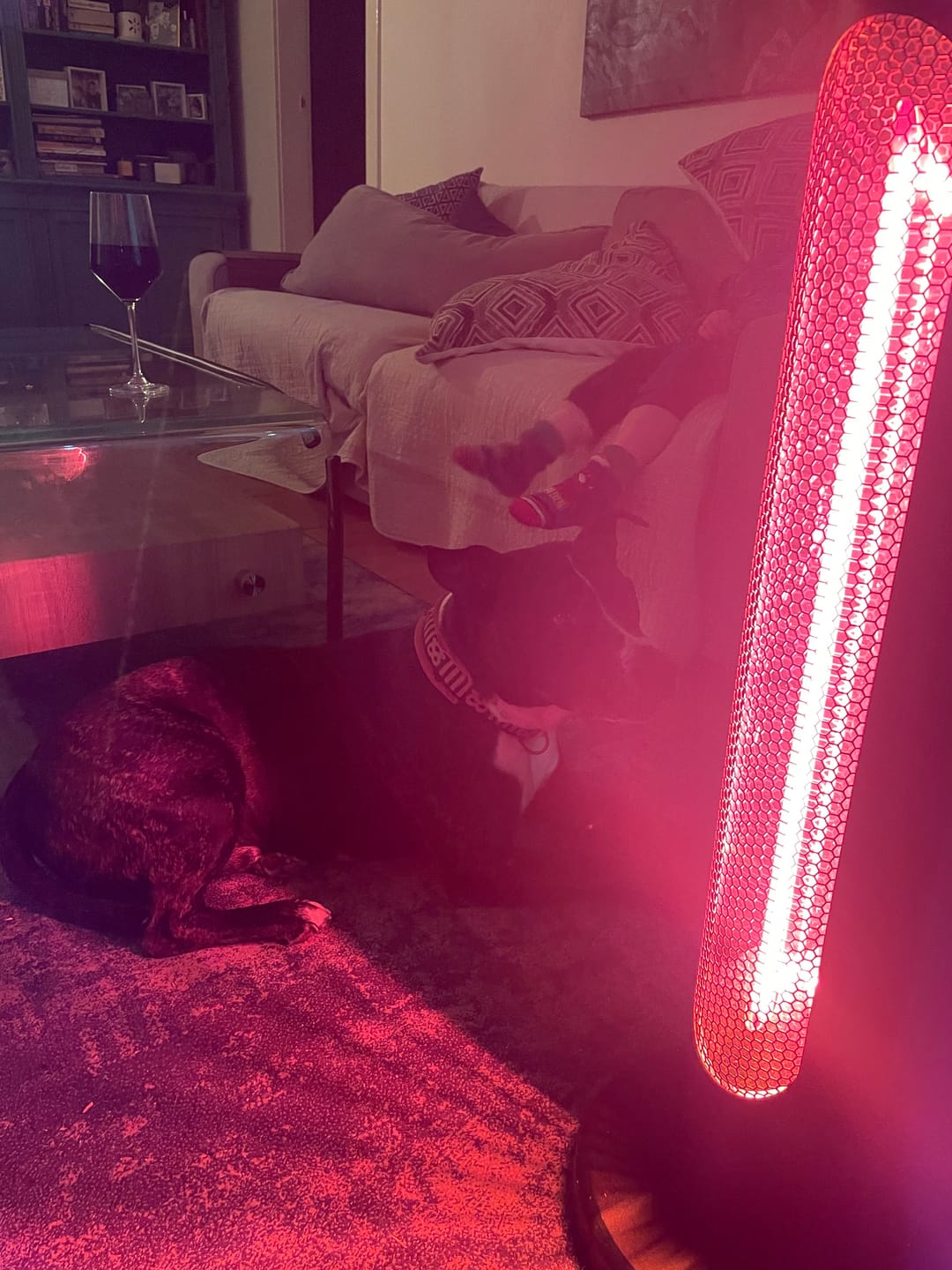 Customer photo review of Indoor & Outdoor Infrared Heater