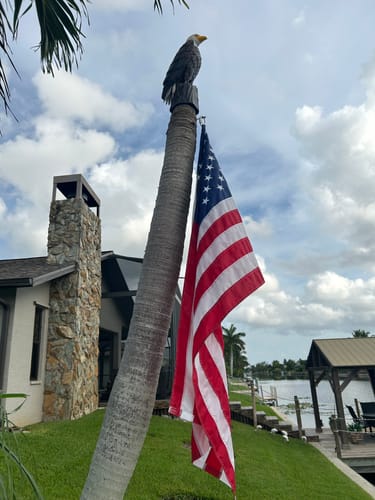 Customer photo review of 3' x 5' American Flag