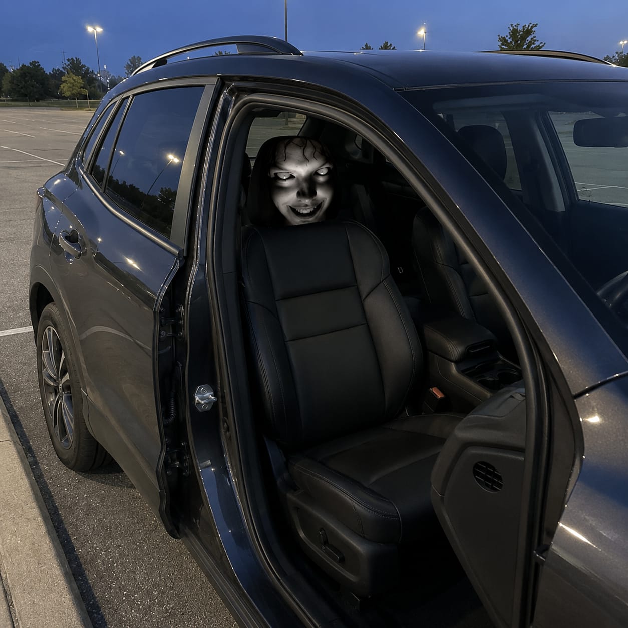 Customer photo review of GrimHead™ Funda Reposacabezas para Coche