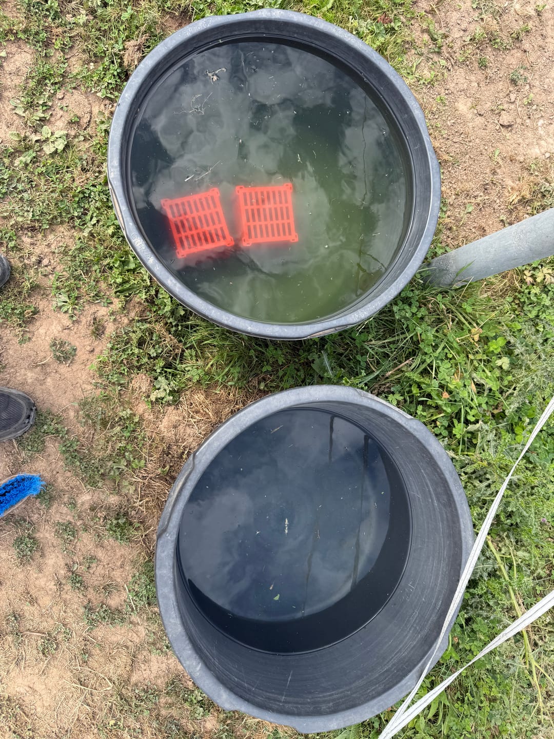 Customer photo review of FilterNatur - SeasonCube 2.0
