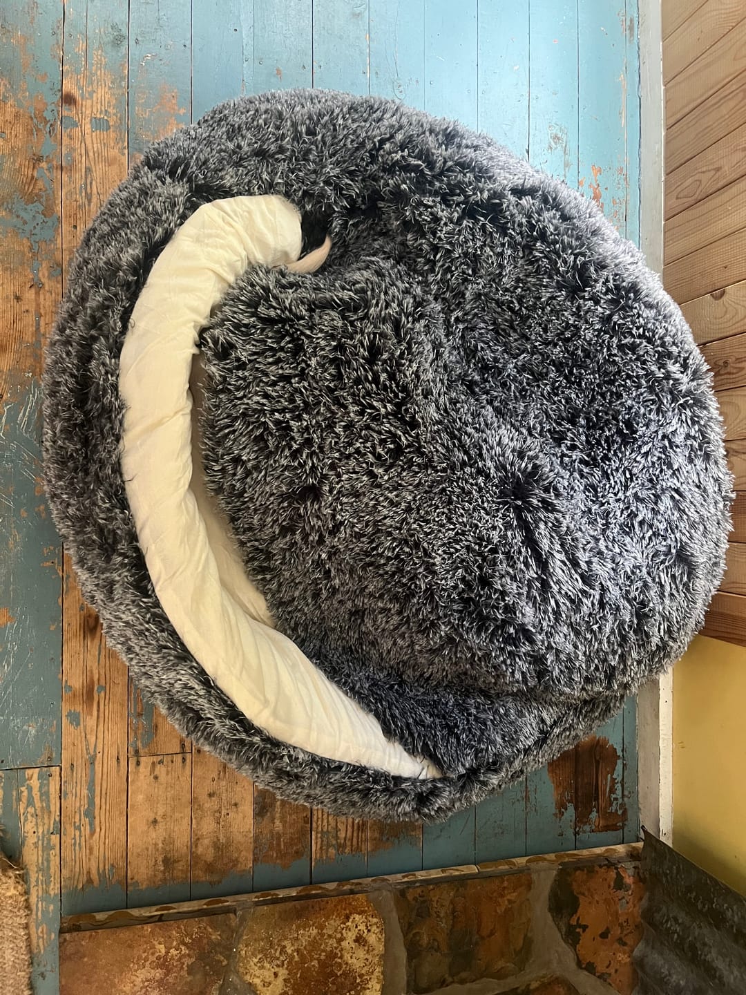 Customer photo review of Pet Cave Dog Bed - Removable Cover