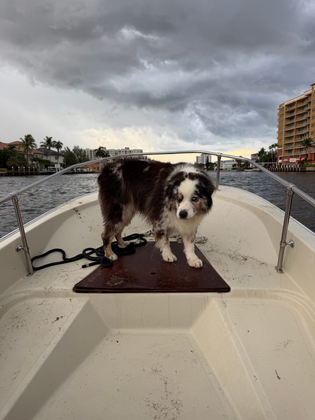 Customer photo review of Boston Whaler Mahogany Bow Hatch - Fits Classic 15' 1976 - 1999