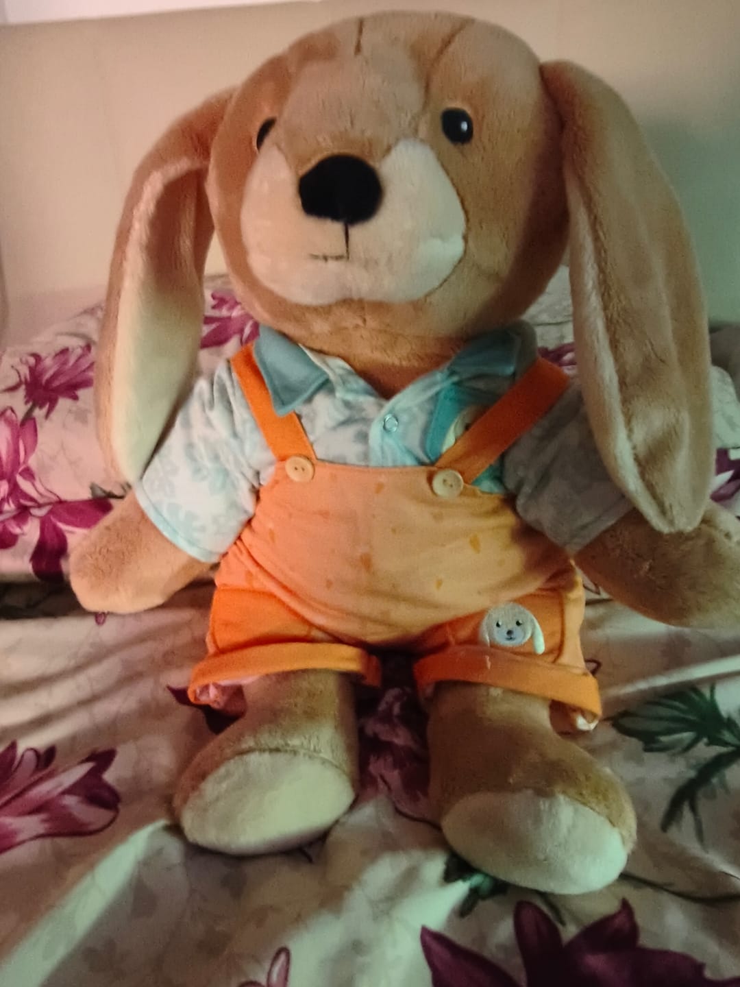 Customer photo review of Konijn Kleding Lente Lotgenootje