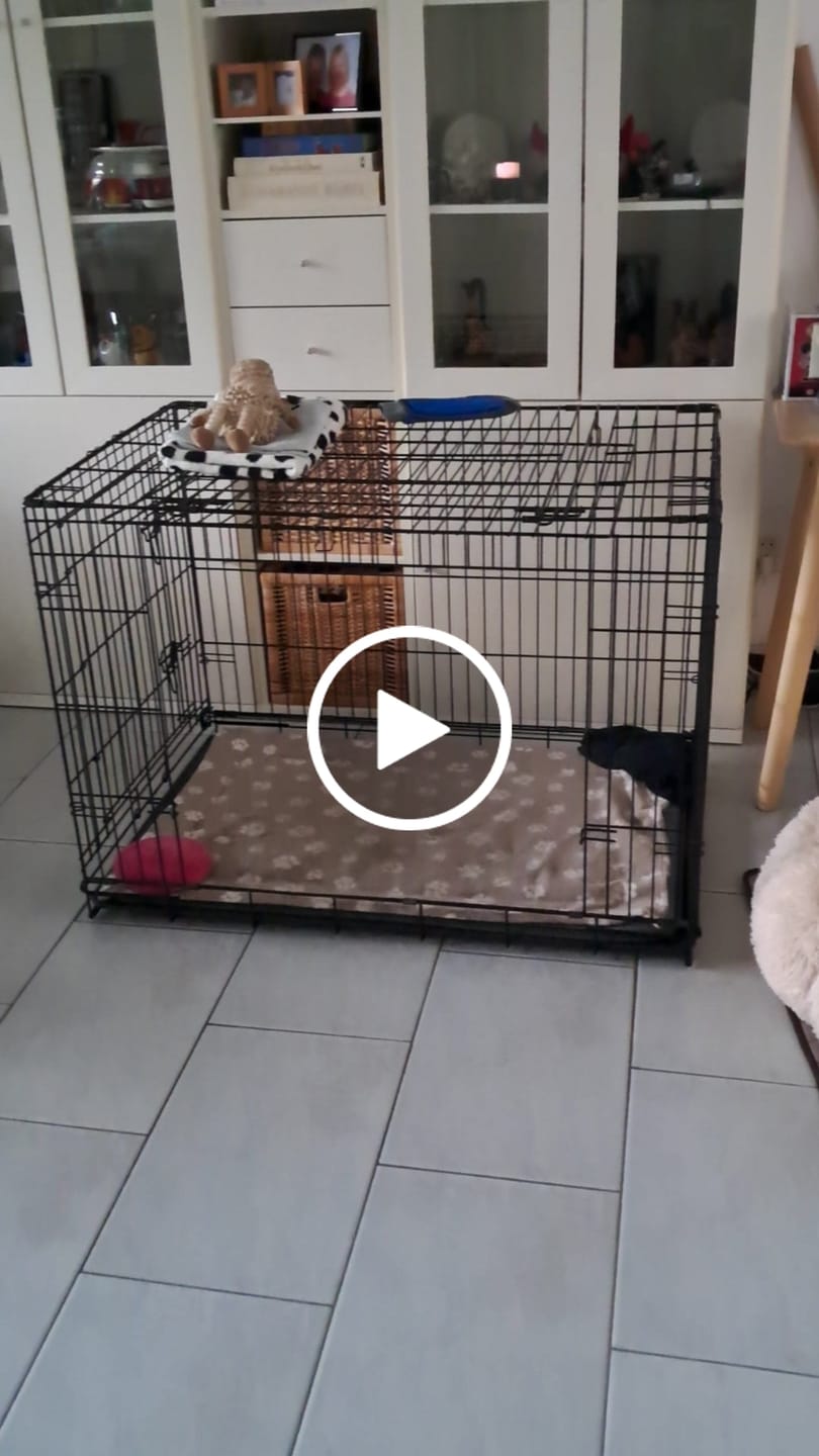 Customer video review of Fluffy Autostoel (2-in-1)