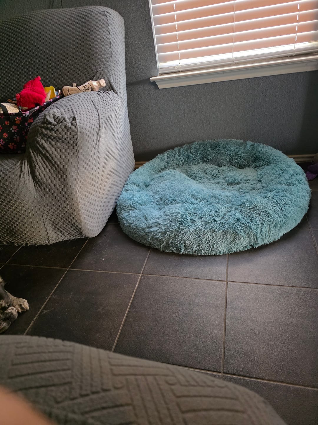 Customer photo review of The Original Fluffy Bean® Pet Bed