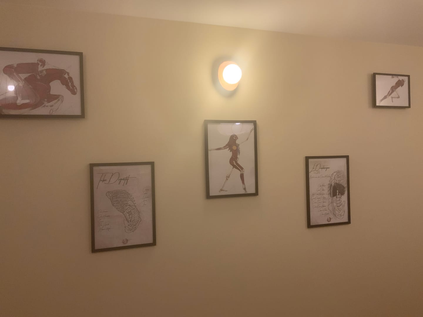 Customer photo review of Poster anatomique de la Danse