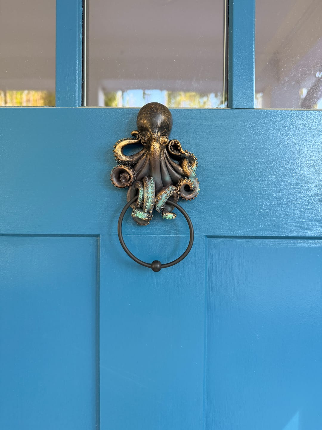 Customer photo review of Octopus Door Knocker