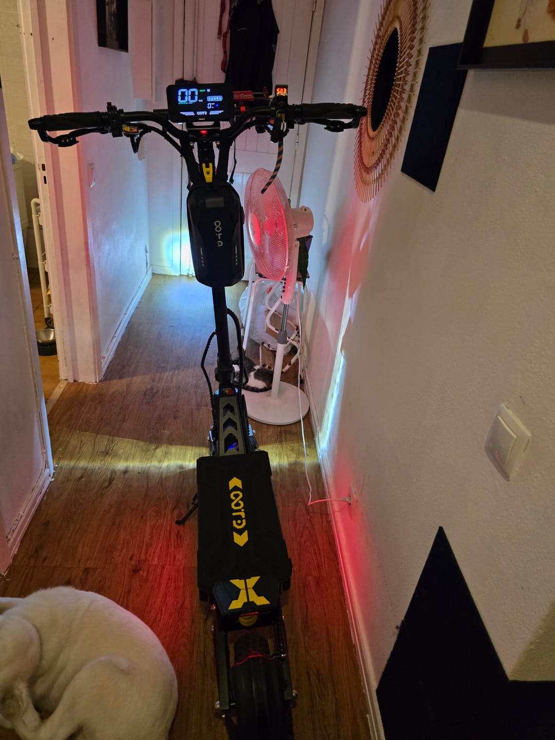 Customer photo review of OOTD T10 Pro E-Scooter