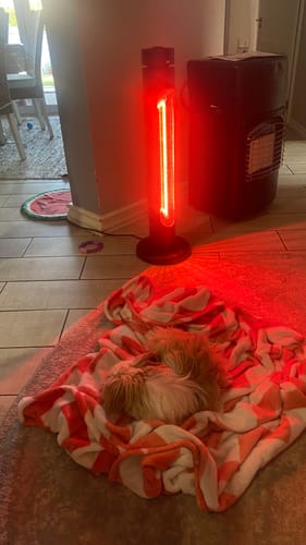 Customer photo review of Indoor & Outdoor Infrared Heater