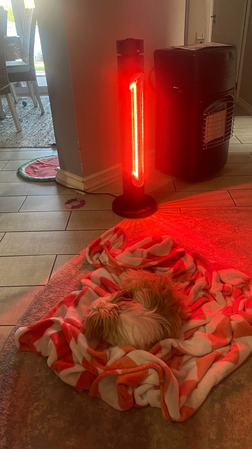 Customer photo review of Indoor & Outdoor Infrared Heater