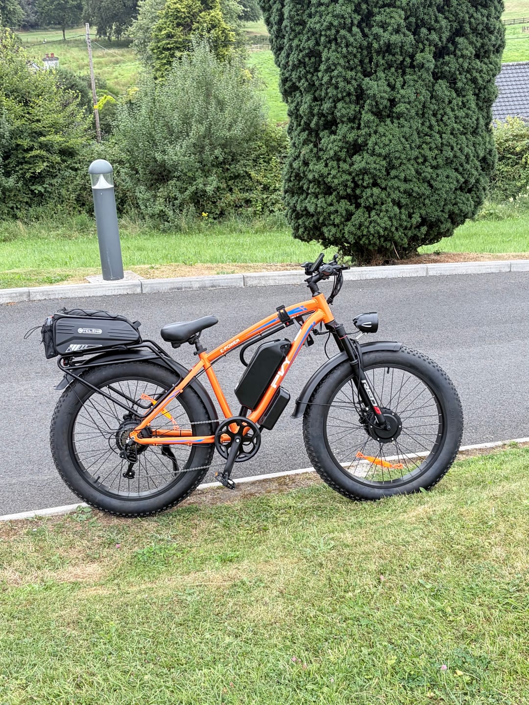 Customer photo review of PVY MAX26