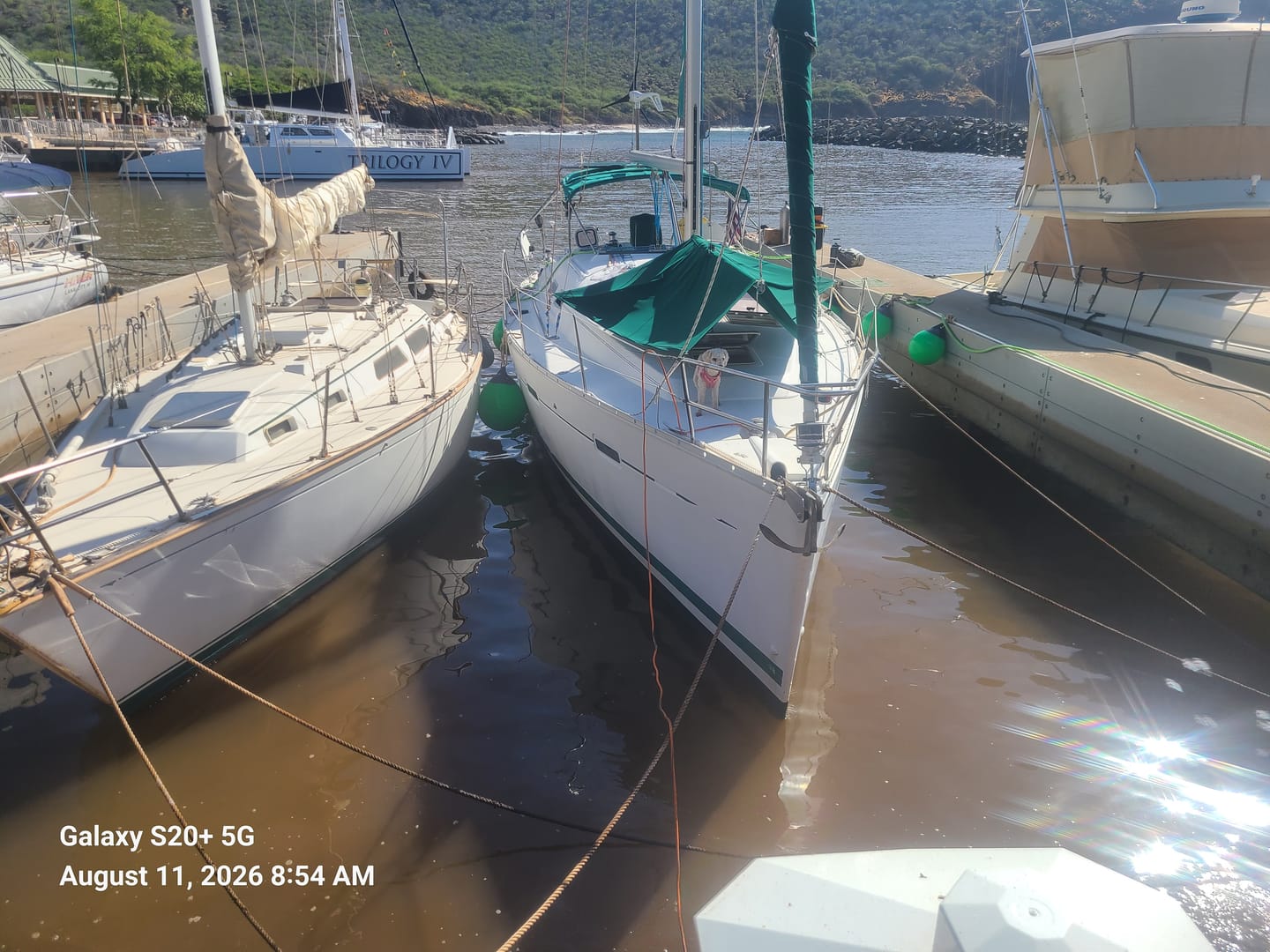 Customer photo review of A-Series Buoy A-4 Standard Blue Ropehold