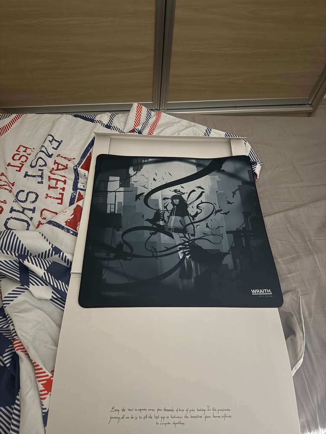 Customer photo review of Wraith Ace Series [Ravenfall] Limited Edition Poron Mousepad