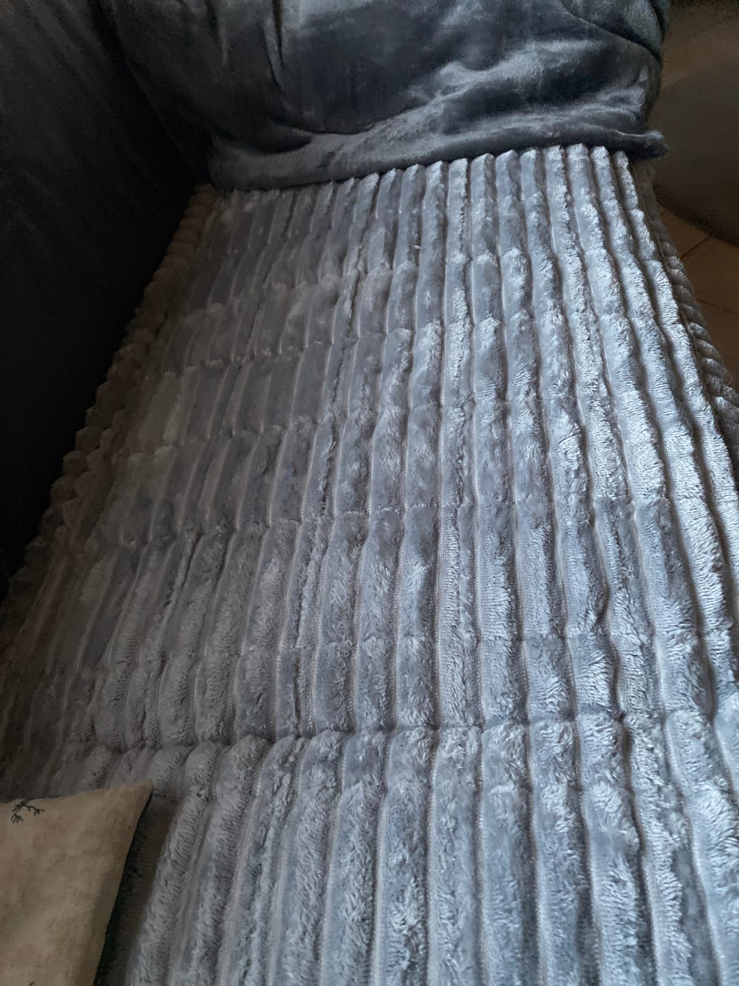 Customer photo review of PetLounge I Premium Sofa-Schutz