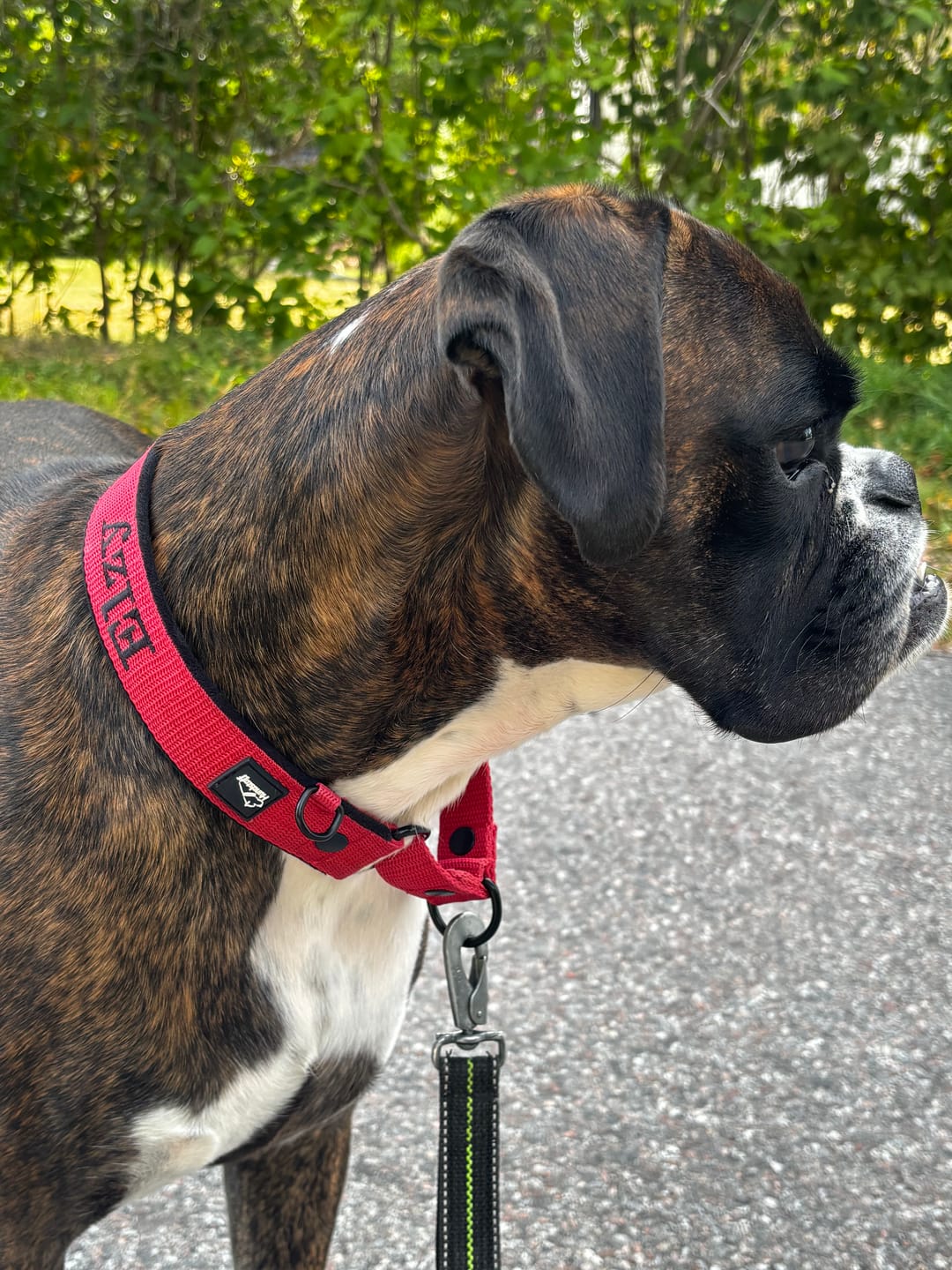 Customer photo review of Martingale halsband med namn