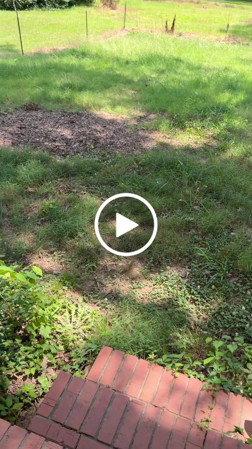 Customer video review of Freedom Trigger Taurus TX22 FRT | 22TY Forced Reset Trigger