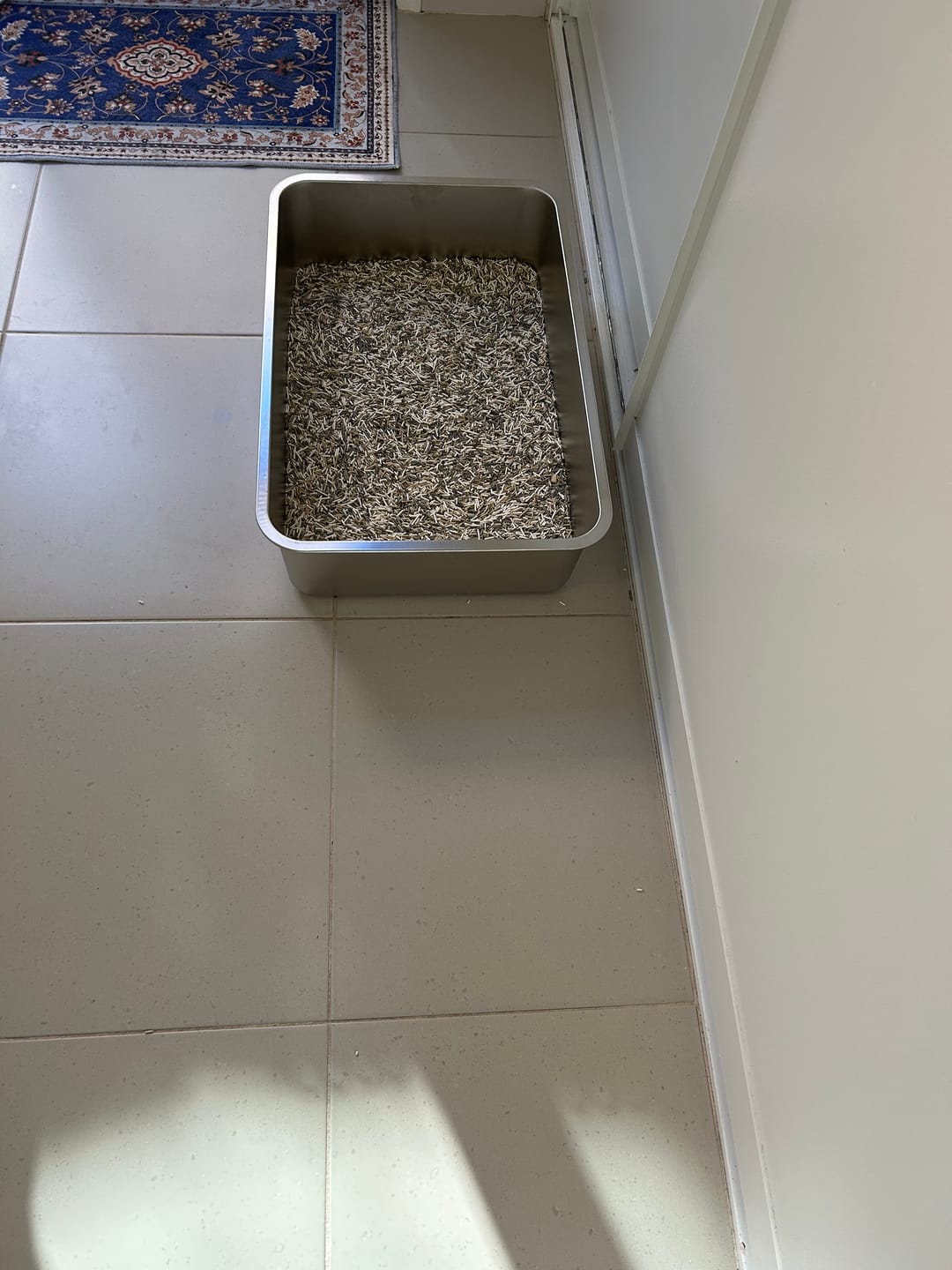 Customer photo review of Stainless Steel Open Cat Litter Box – Large High-Edge Design