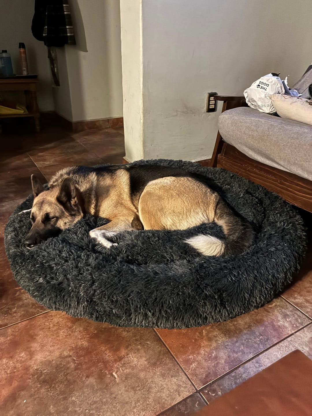 Customer photo review of Cama Anti-Estrés THE DOGS — Menos ansiedad, más descanso