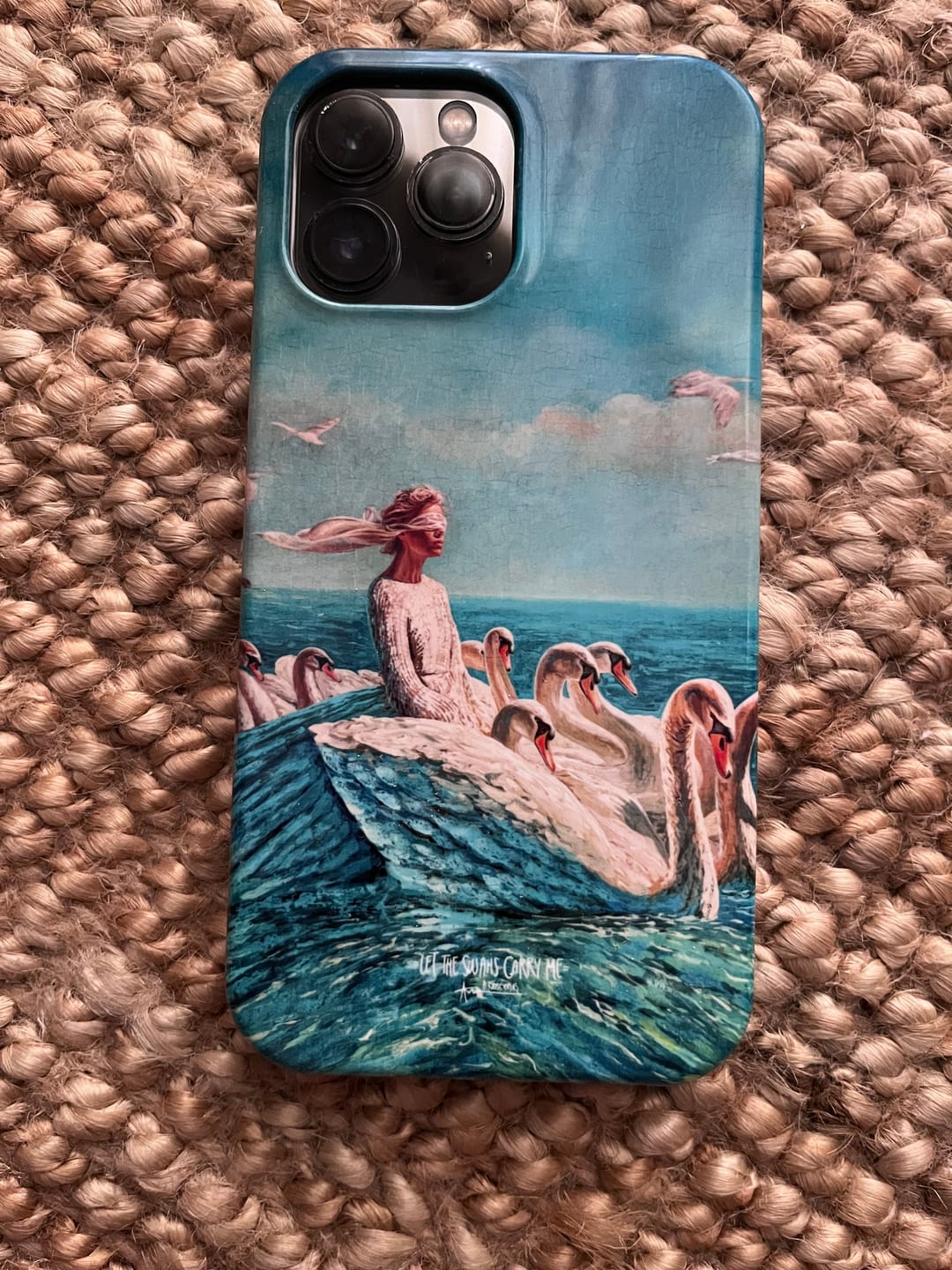 Customer photo review of Let The Swans Carry Me