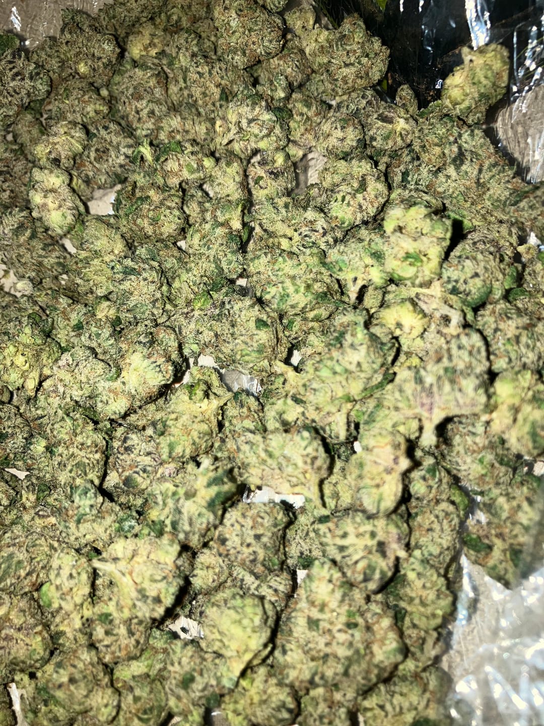 Customer photo review of Boutique Exotics Minis - Obama Runtz - 28 Grams - Hybrid