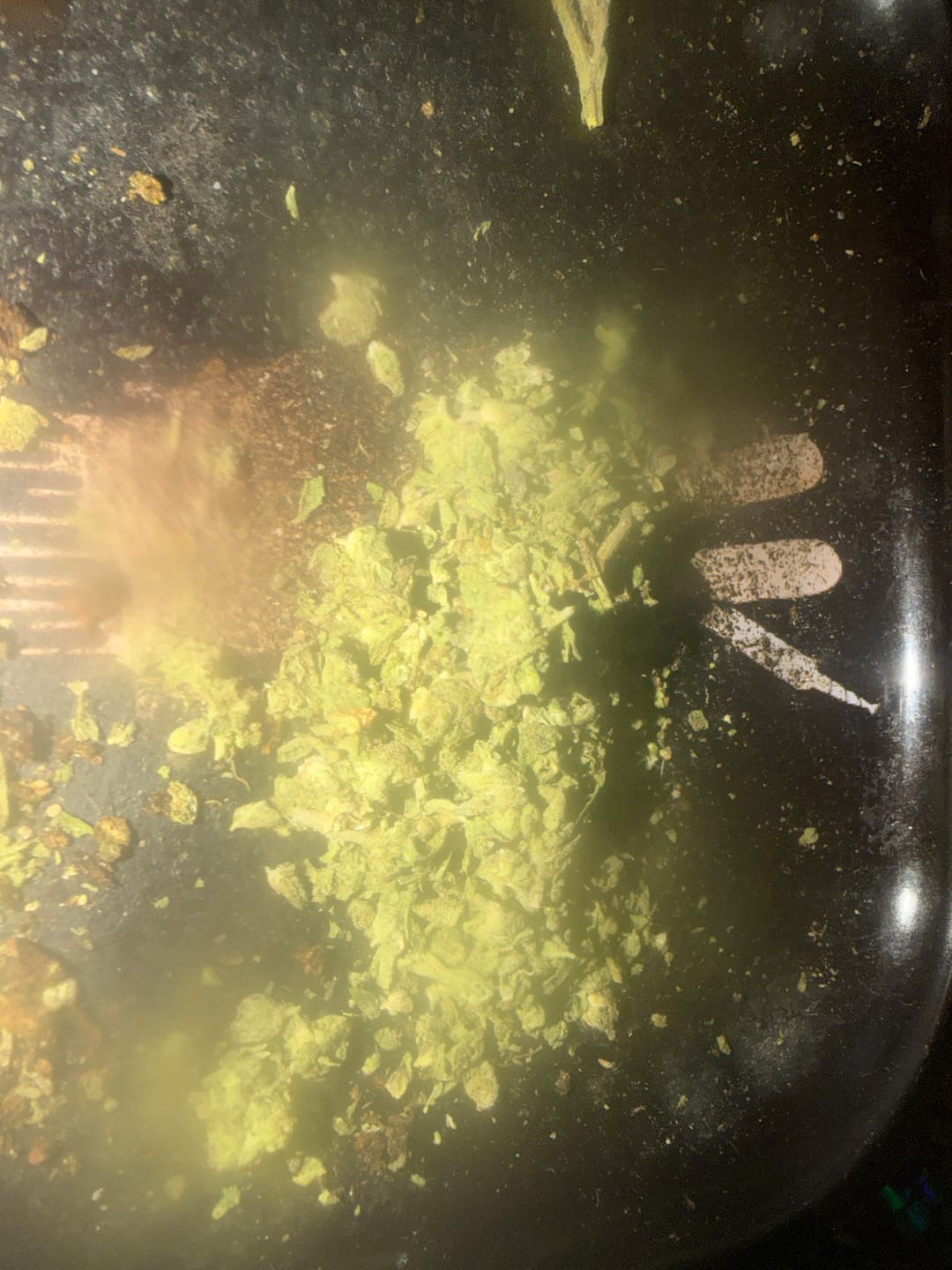 Customer photo review of Black Cherry Runtz - 28 Grams - Indica