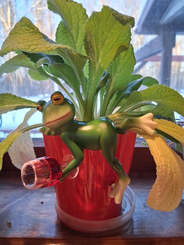 Customer photo review of La Mare aux Apéros