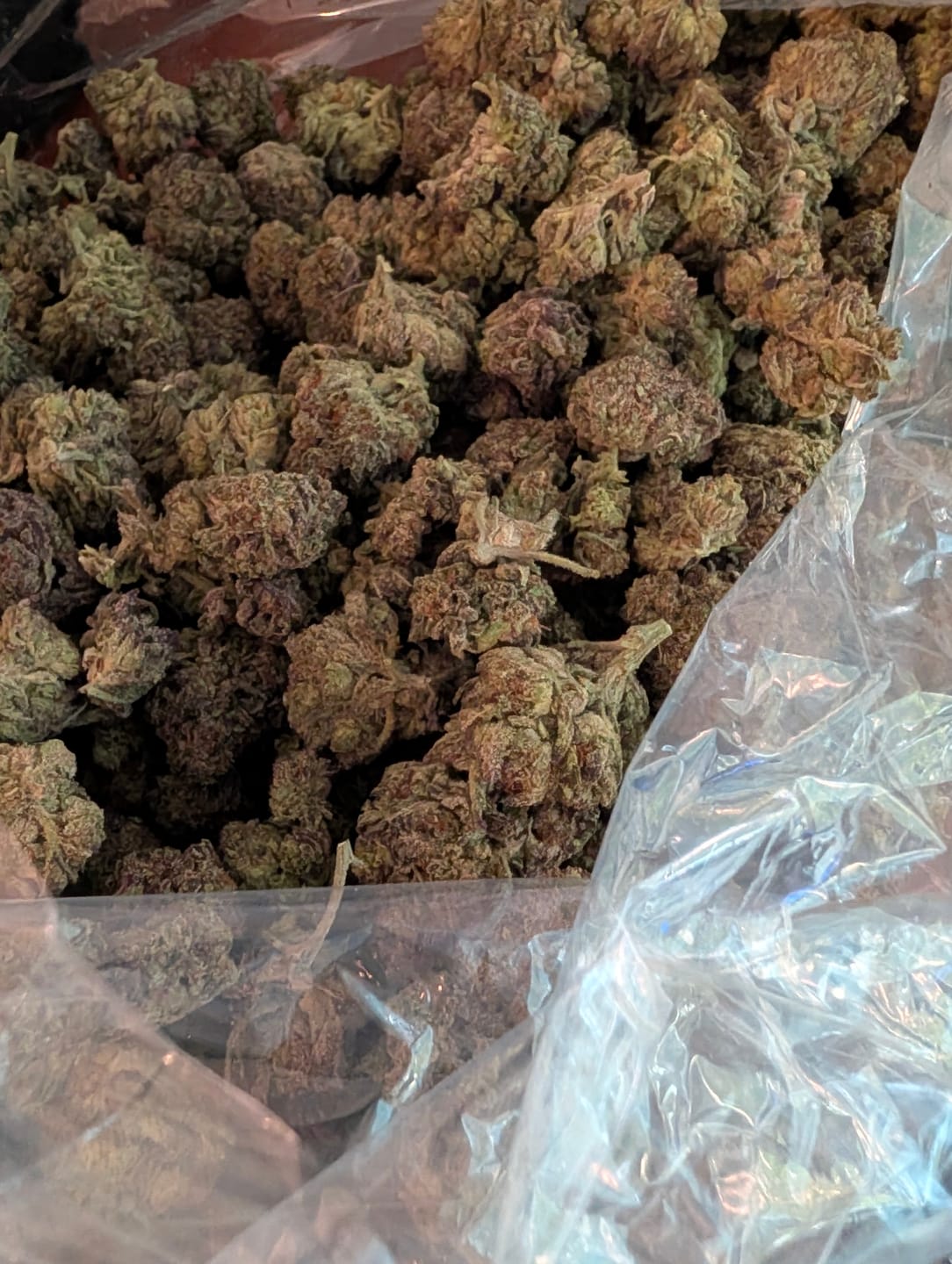 Customer photo review of Jenny Kush Littles - Bulk Littles - Hybrid