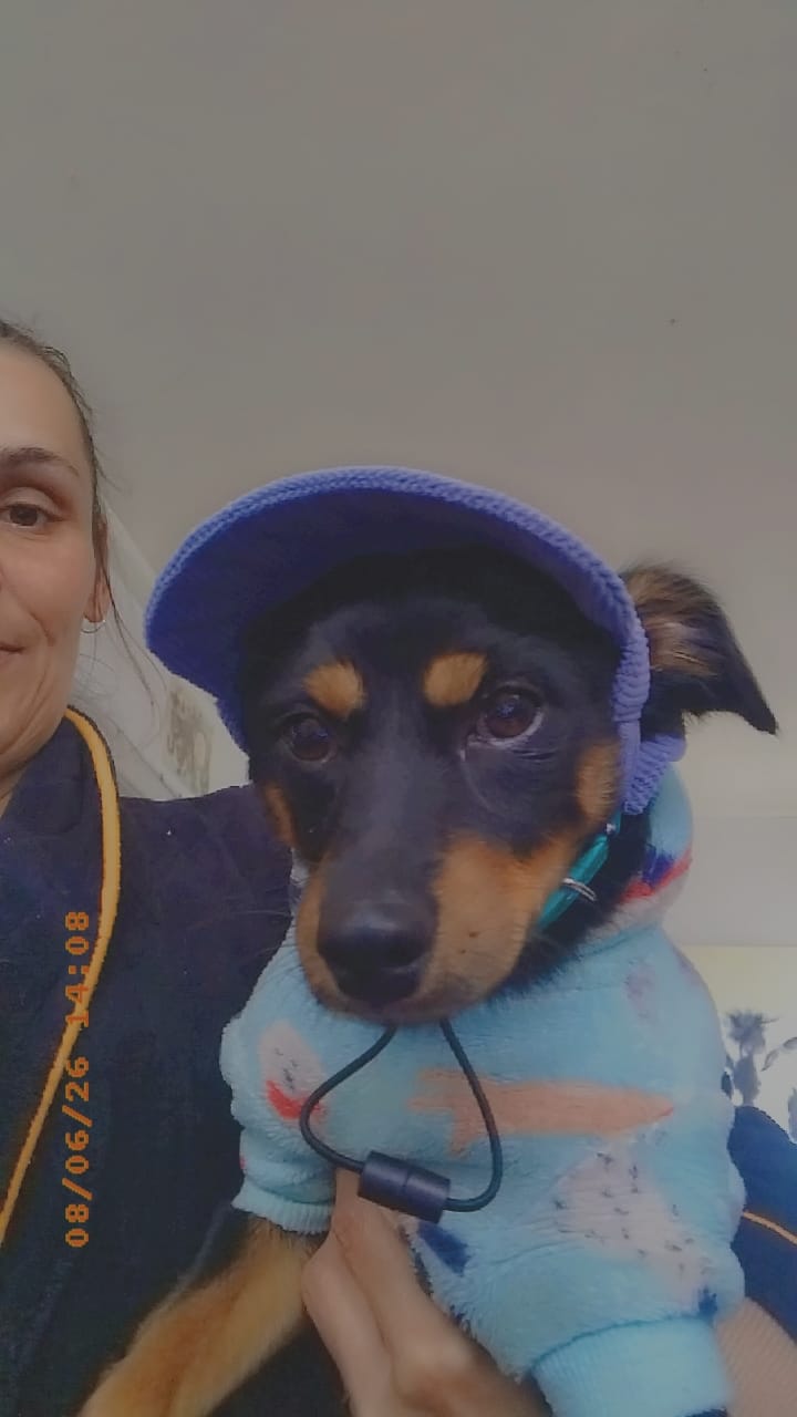 Customer photo review of DOG HATS