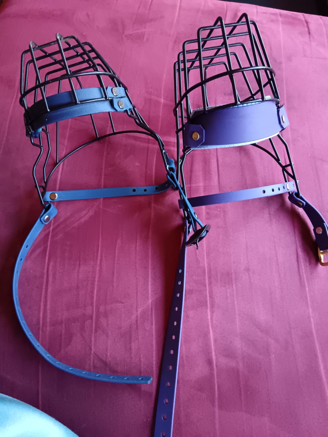 Customer photo review of Maulkorb Konfigurator