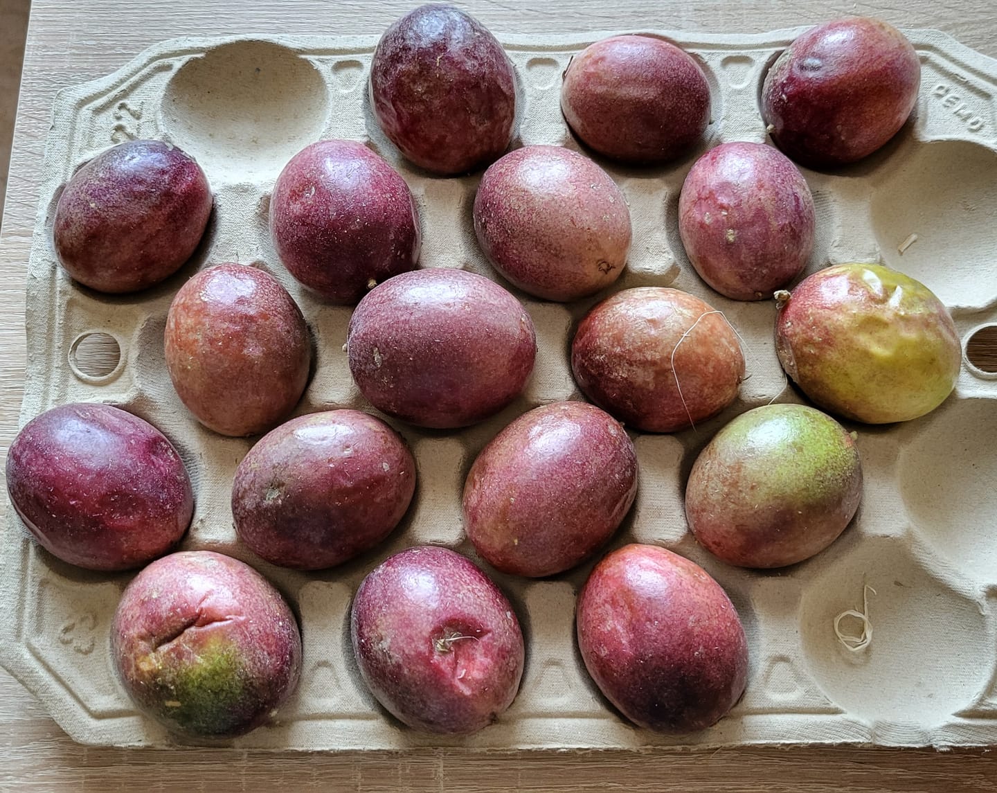 Customer photo review of Passionsfrüchte Bio von Salvador Retteraktion %