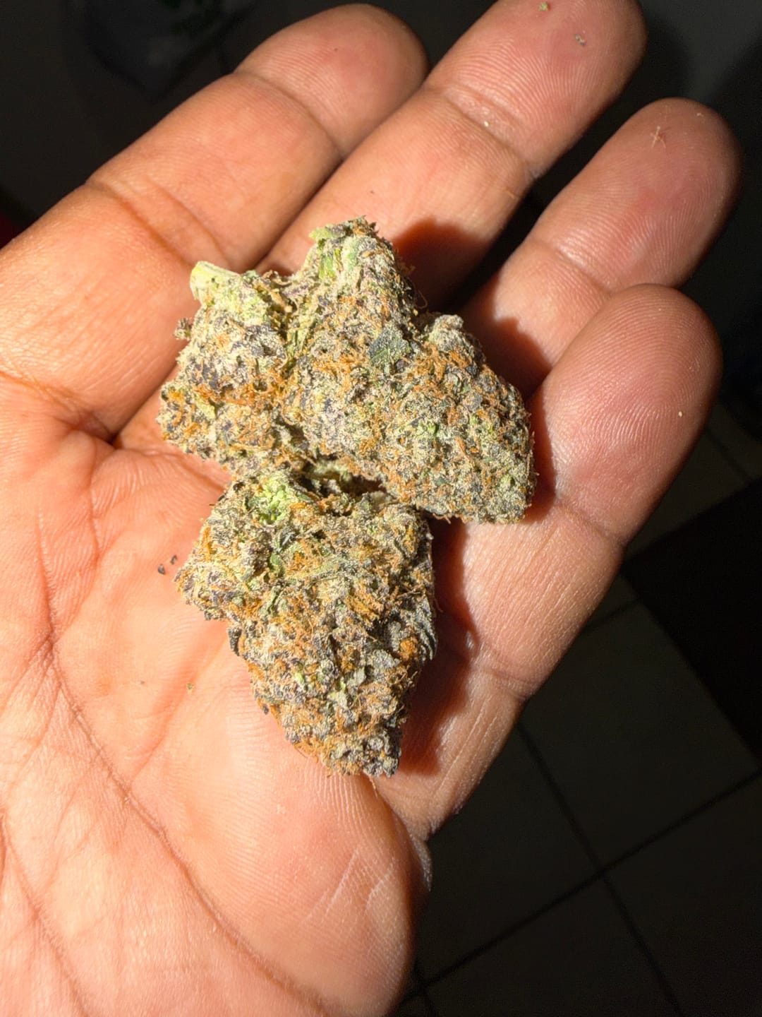 Customer photo review of Gelato Kush Minis - Bulk Minis - Indica