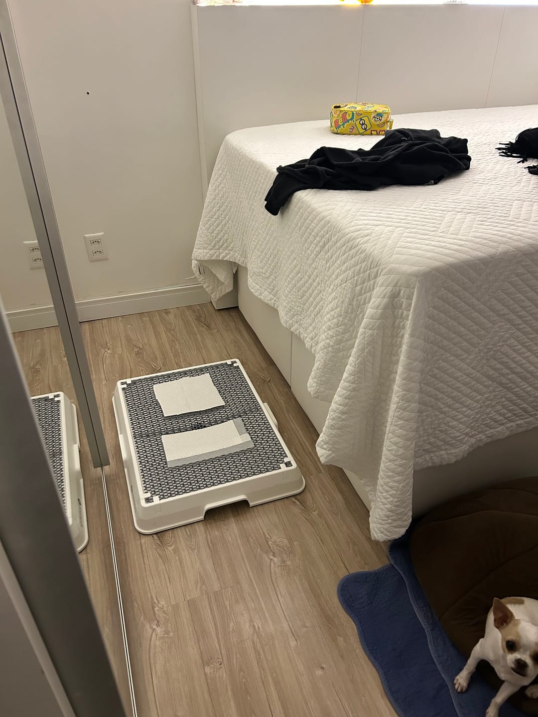 Customer photo review of Weasy Cão | Banheiro inteligente para cachorro