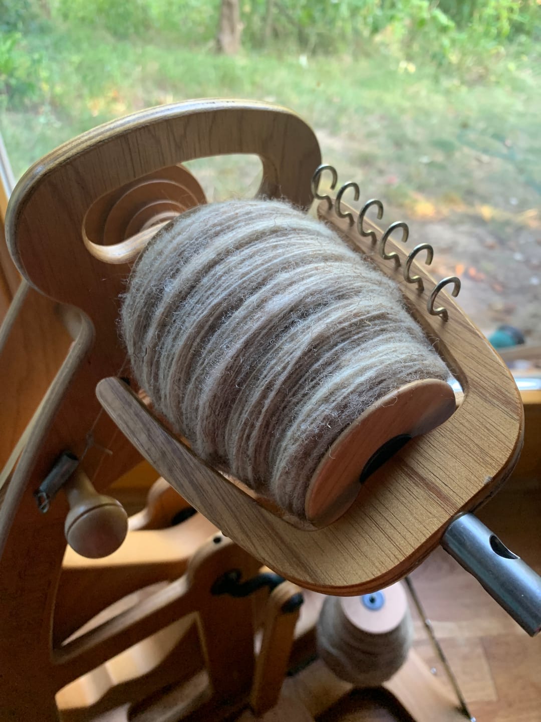 Customer photo review of Coburger Fuchsschaf Wollvlies