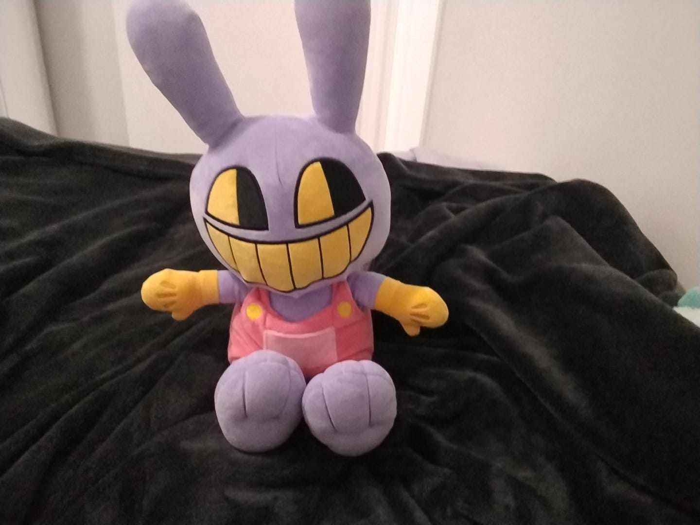 Customer photo review of Jax Plush