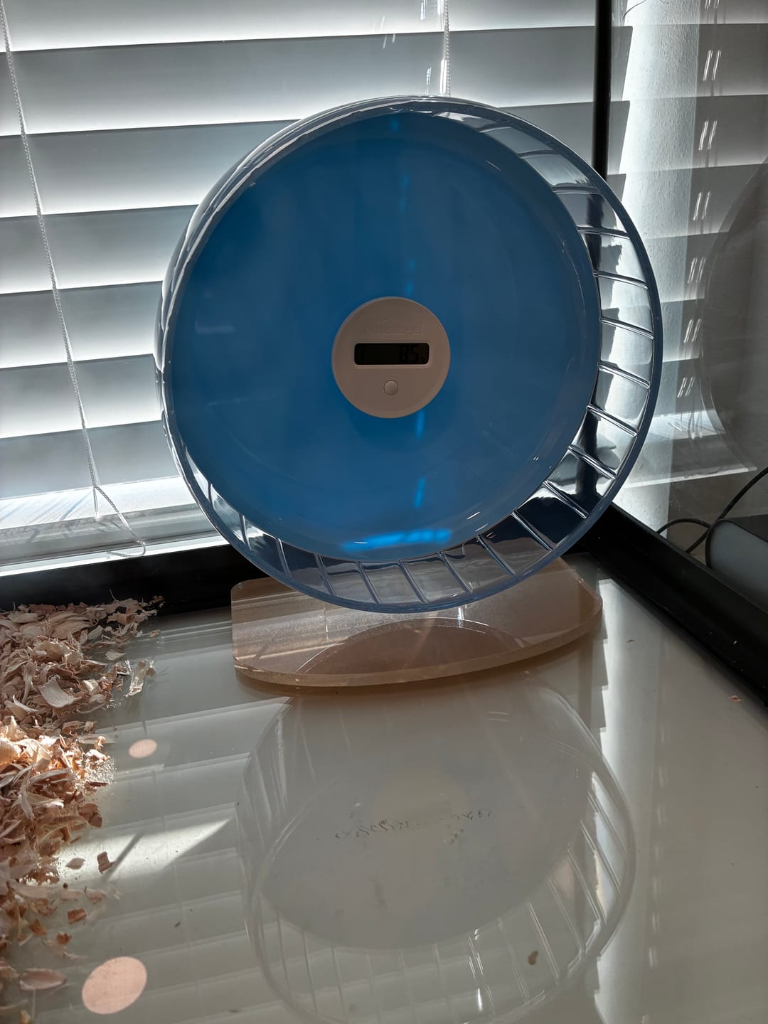 Customer photo review of Niteangel Accurately Hamster Wheel Pedometer- Small Animal Step Counter