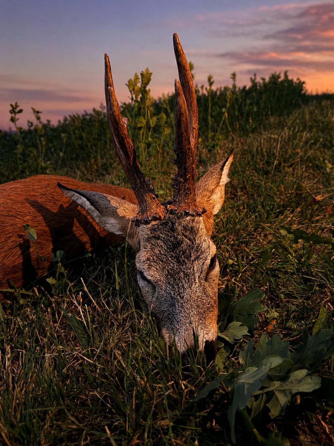 Customer photo review of Salzspray Apfel - Lockmittel Rehwild, Schwarzwild, Rotwild und Damwild