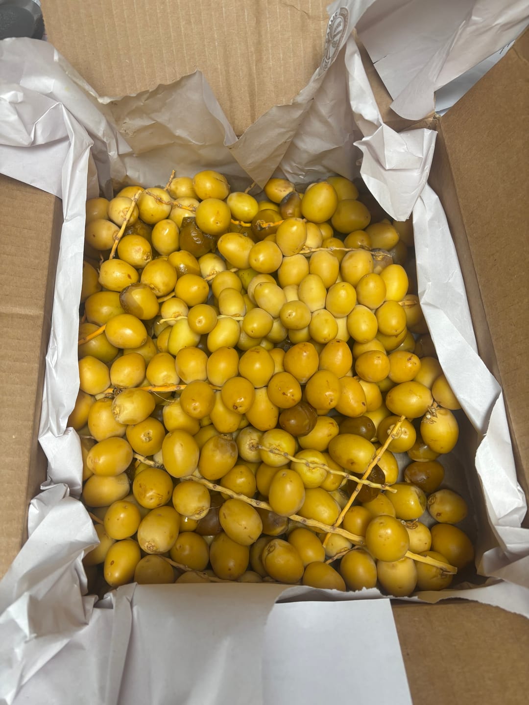 Customer photo review of Organic Yellow Barhi Dates (Khalal Barhi Dates)