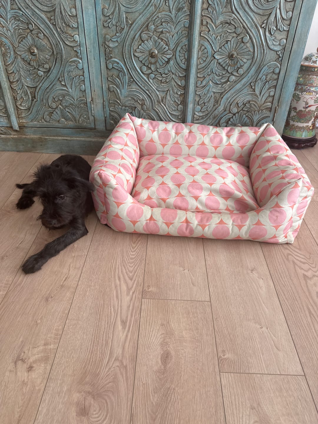 Customer photo review of Peach Bloom Sofa Köpek Yatağı