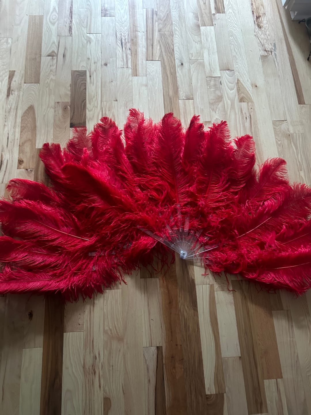 Customer photo review of Fancy Burlesque Fan - Single Layer