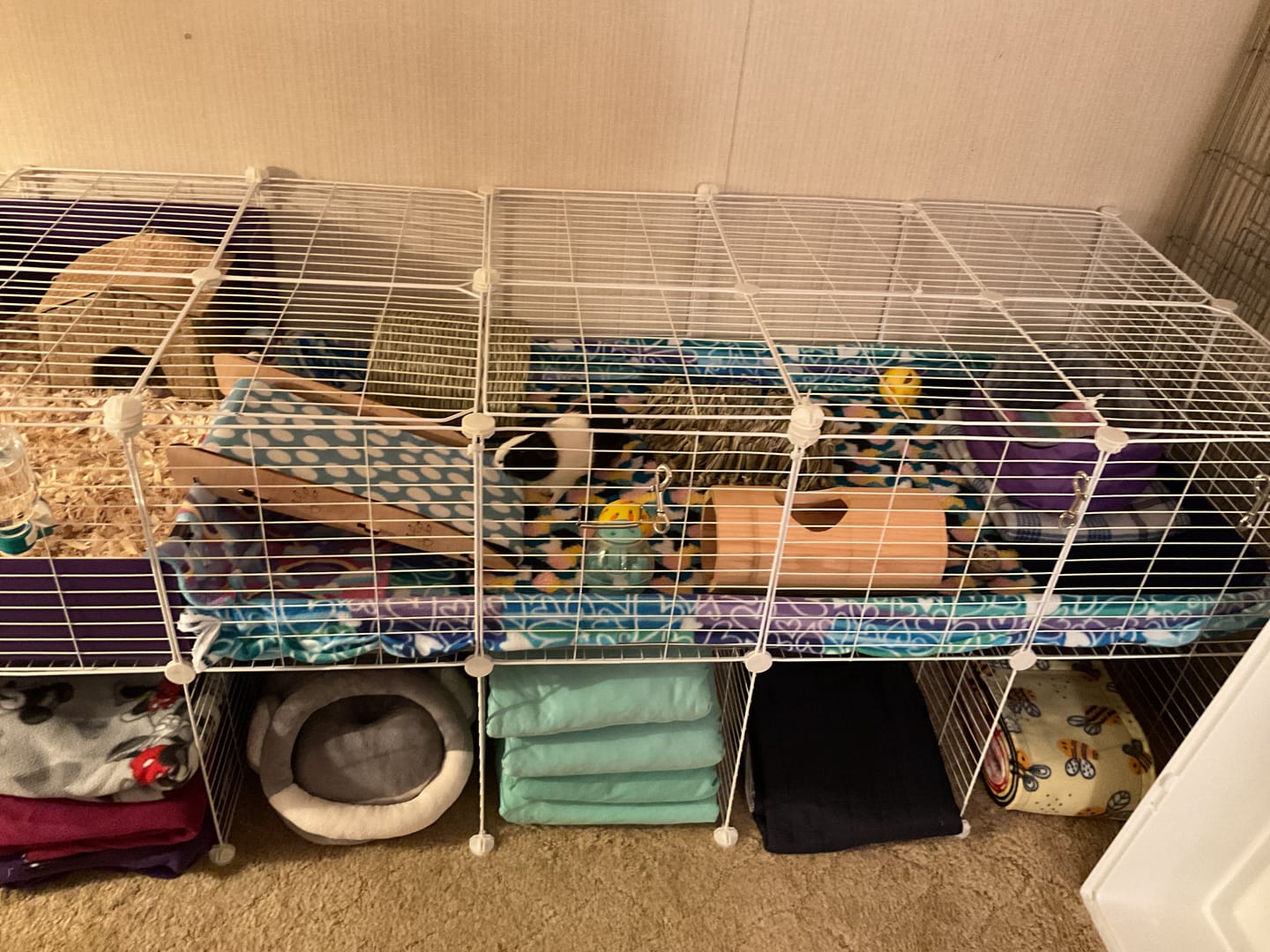Customer photo review of 2X Coroplast Sheets for C&C Cage