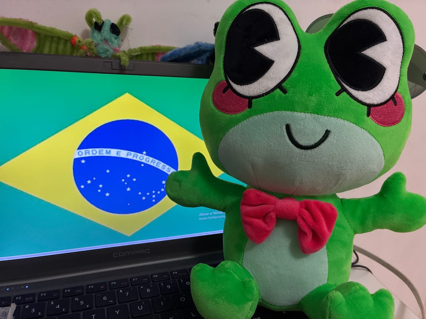 Customer photo review of Ribbit Plush