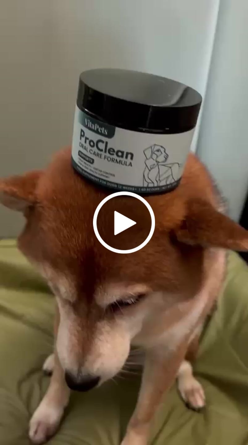 Customer video review of ProClean™狗狗天然潔牙護齒配方