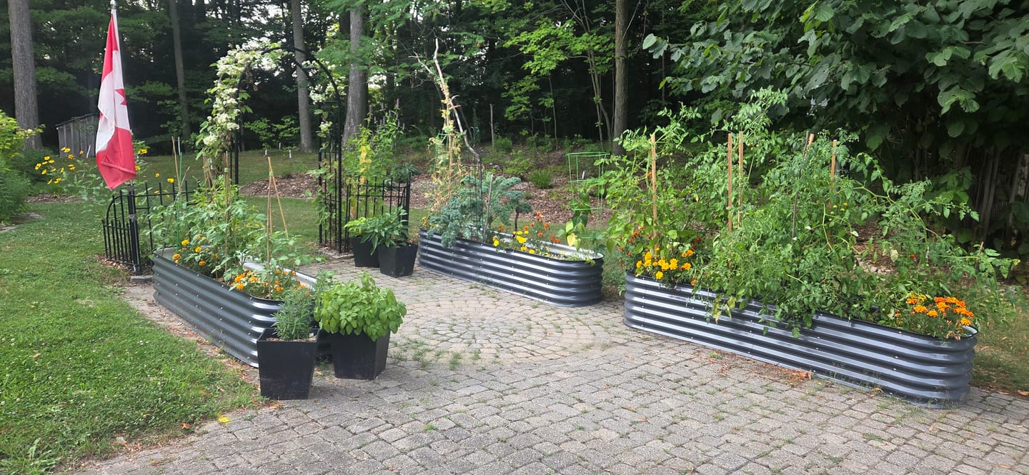 Customer photo review of 17” Tall Modular 9 in 1